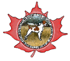 brittany spaniel club of canada