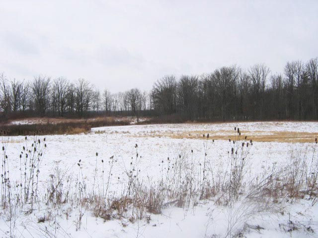 Winter fields at Ruffwood Game Farm