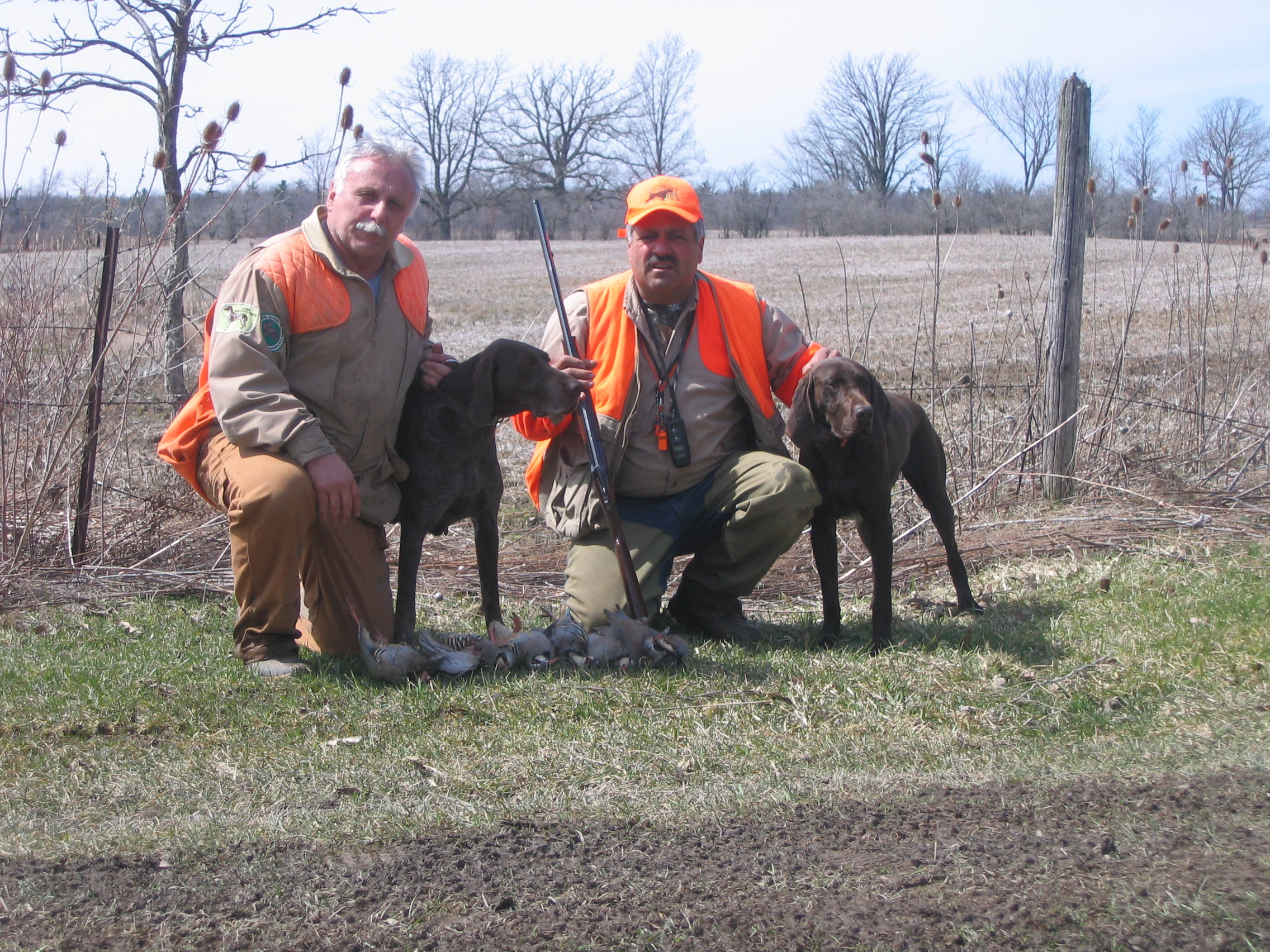A great hunt and dog training day at Ruffwood Game Farm