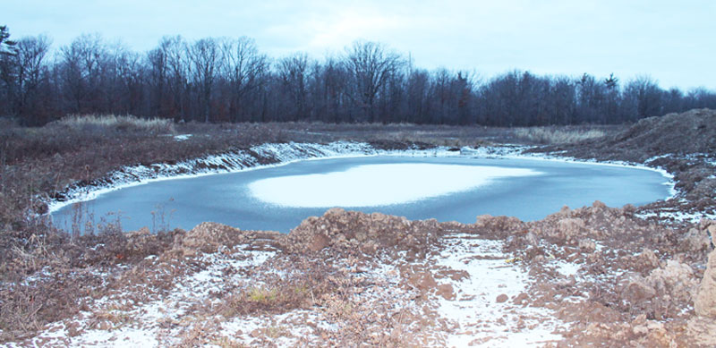 pond at Ruffwood Game Farm for dog training